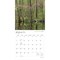 BrownTrout; Michigan Nature | 2027 12 x 24 Inch (Hanging) Monthly Square Wall Calendar | Plastic-Free; Category:Wall Calendars; Image:4